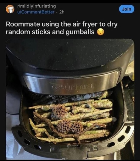 r/mildlyinfuriating post: an air fryer is loaded with green twigs fresh from the forest. Captioned: "Roommate is using the airfryer to dry random sticks and gumballs"