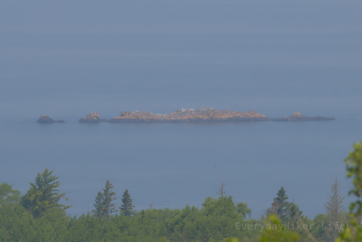 A rocky island just off the mainland looks to be taken over by gulls.