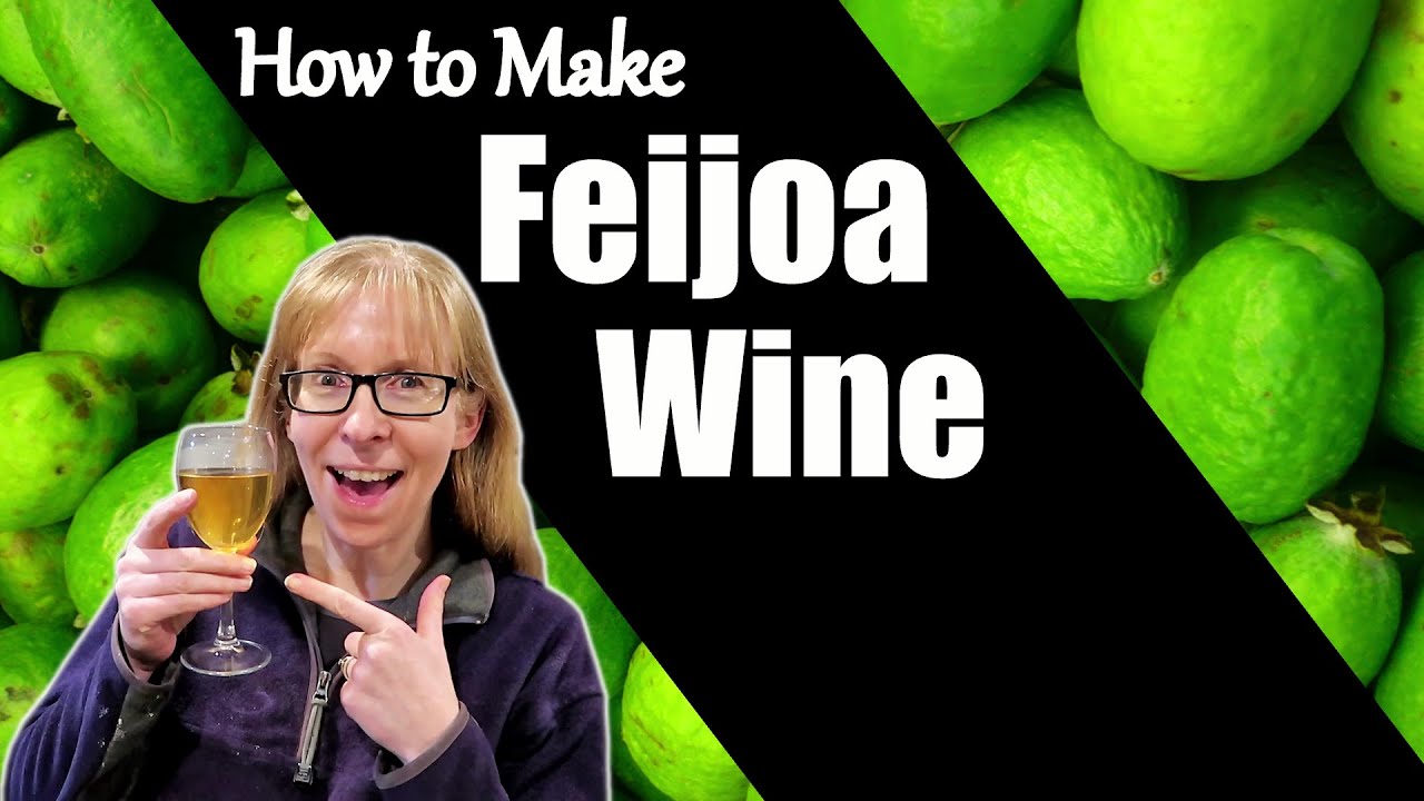 Feijoa Wine Recipe - No Last Name Needed