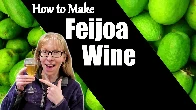 Feijoa Wine Recipe